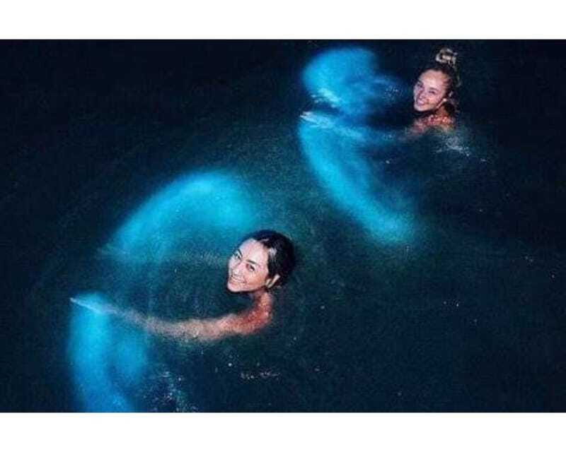BIOLUMINESCENCE IN PUERTO ESCONDIDO - What $57 buys you