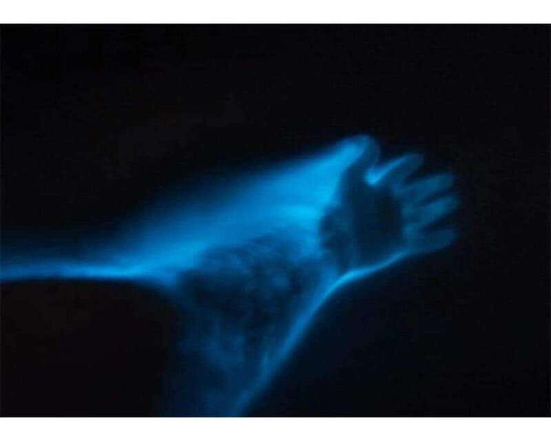 BIOLUMINESCENCE IN PUERTO ESCONDIDO - Who will enjoy this night outing
