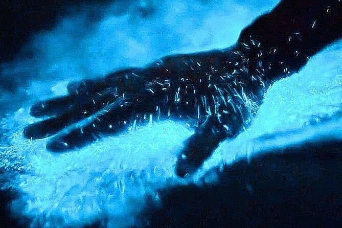 Bioluminescence & sunset local boat tour to Los Arcos Sanctuary - Key points to know before booking