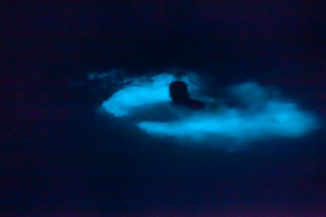 Bioluminescence & sunset local boat tour to Los Arcos Sanctuary - What the three-hour Los Arcos outing is really like