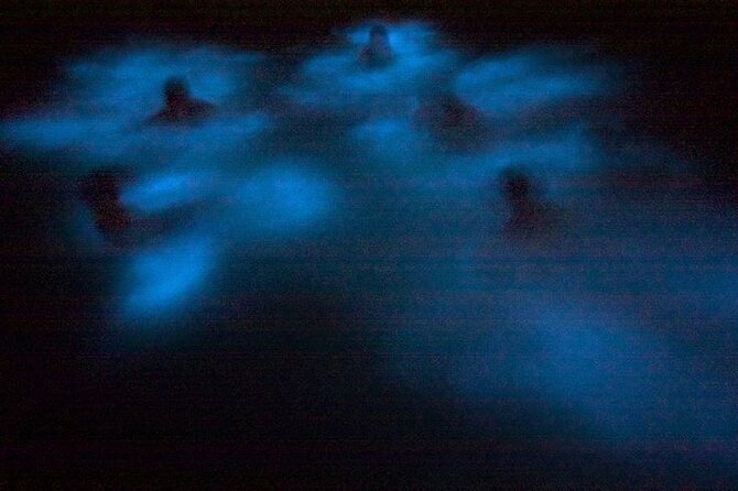 Bioluminescence & sunset local boat tour to Los Arcos Sanctuary - What to wear and bring for the water