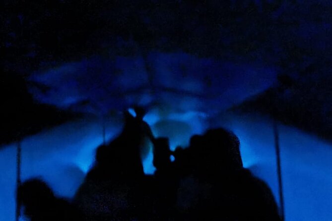 Bioluminescent Night Tour - From Puerto Escondido to the lagoon