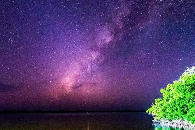 Bioluminescent Night Tour - Language, guides, and communication