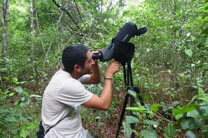 Birdwatching in Sian Ka´an Muyil from Tulum - Shared Group Tour - What you might see through the telescope