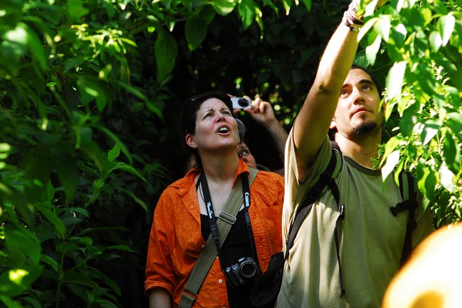 Birdwatching in Sian Ka´an Muyil from Tulum - Shared Group Tour - Practical details that can make the morning better
