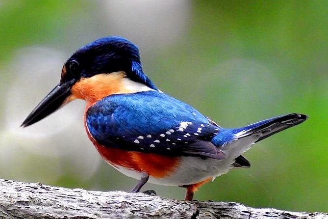 Birdwatching in Sian Ka´an Muyil from Tulum - Shared Group Tour - Walking through Muyil, a Maya trading post at Sian Ka’an