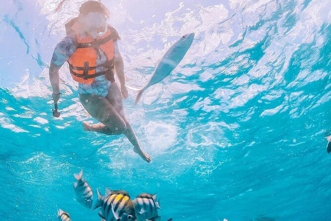 Boat and Snorkel Tour to 5 Islands of Los Arcos - Meeting in Zona Romántica and riding south