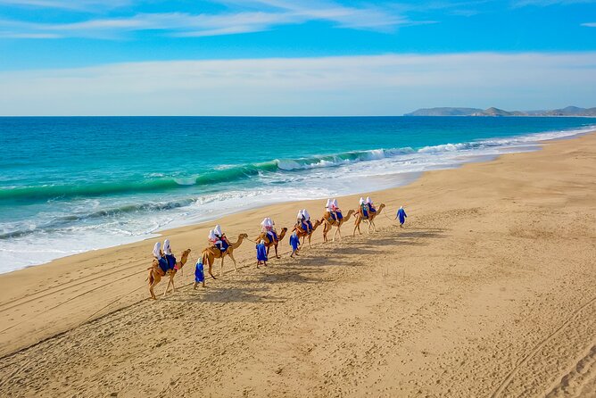 Boat Ride to the Arch and Beach Camel Ride in Cabo San Lucas - From Cabo hotels to the marina