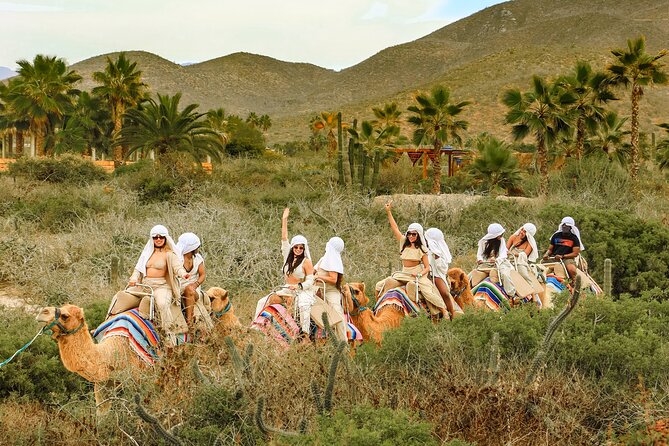 Boat Ride to the Arch and Beach Camel Ride in Cabo San Lucas - The fast boat at Land’s End