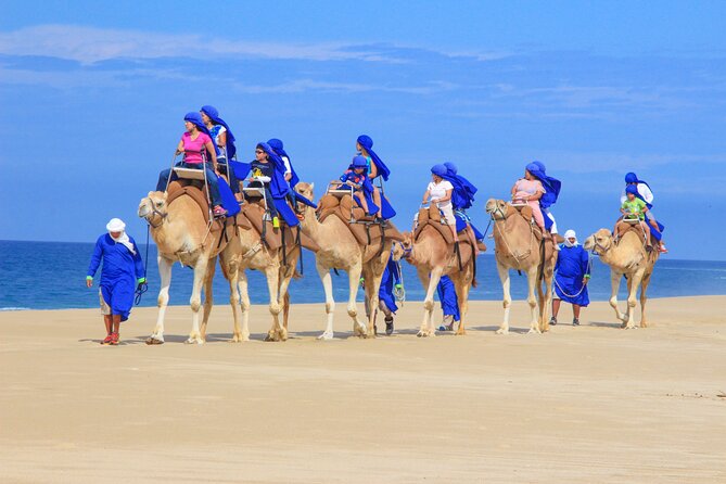 Boat Ride to the Arch and Beach Camel Ride in Cabo San Lucas - The price, including the fees you must expect