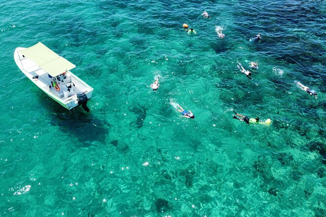 Boat ride to the Arch and Snorkel - Key points to know before you book