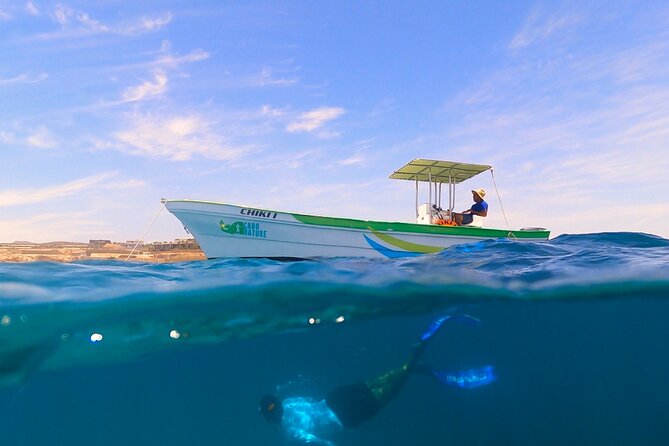 Boat ride to the Arch and Snorkel - The crew makes the difference