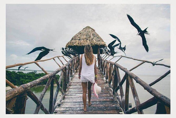 Boat Tour of Three Islands in Holbox with Transportation - Yalahau Lagoon: freshwater and a short swim