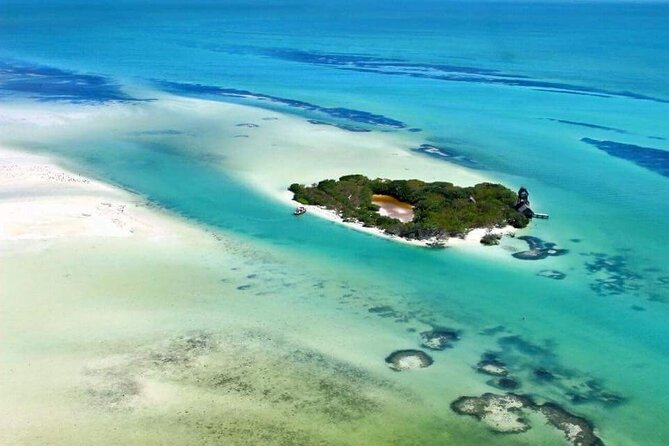 Boat Tour of Three Islands in Holbox with Transportation - Isla Pájaros: the stop for bird lovers