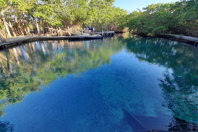 Boat Tour of Three Islands in Holbox with Transportation - Timing, pickup, and the practical details