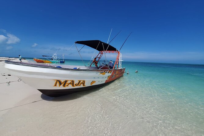 Boat Tour of Three Islands in Holbox with Transportation - Is $41.76 a fair price?
