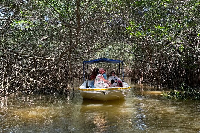 Boat tour through the mangroves of Celestún and Playa from Merida - Key points to know before you go