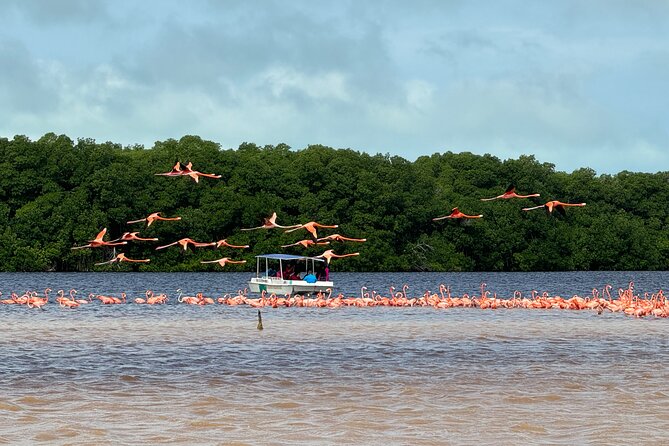 Boat tour through the mangroves of Celestún and Playa from Merida - Three hours at La Ramada de la Tía Candi