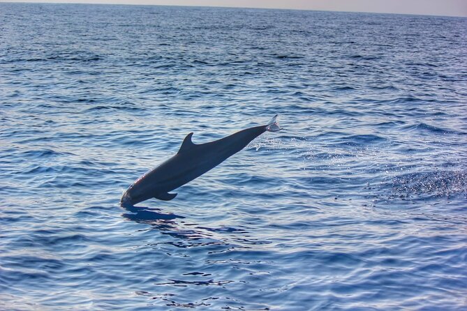 Boat Trip to See Marine Life in Puerto Escondido - Cruising Puerto Escondido’s bays first