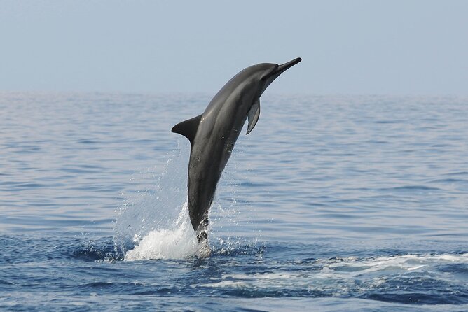 Boat Trip to See Marine Life in Puerto Escondido - Choppy water and responsible whale watching