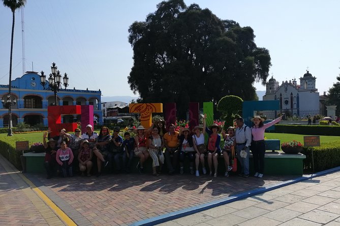 Boil the Water, Mitla, Tule, Mezcal and more - Santa Maria del Tule and the world’s wide tree