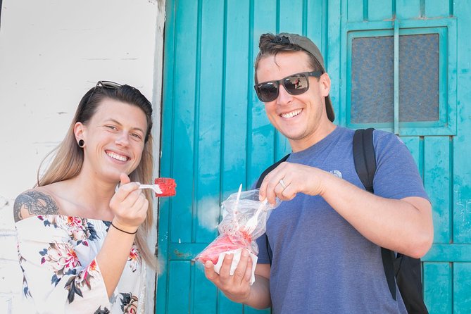Breakfast Taco Tour with a Local Foodie - Two versions of birria, plus the broth