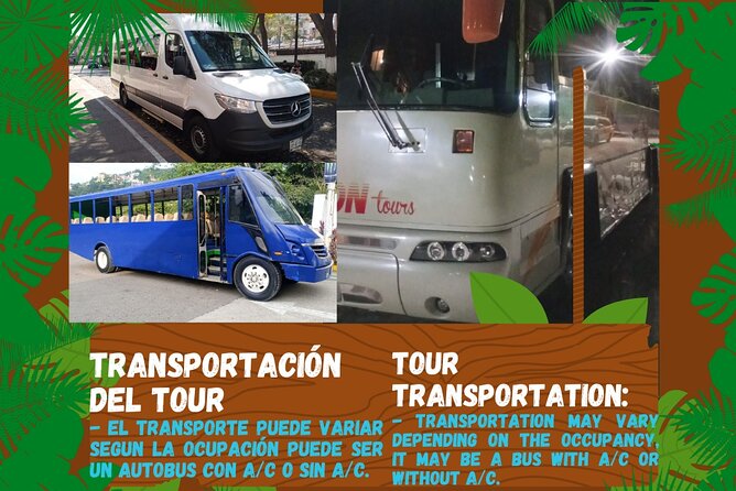 Butterflies, City tour, tequila, and beach (kids free) - A low-cost way to combine four Puerto Vallarta experiences