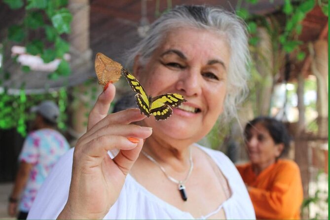 Butterflies, City tour, tequila, and beach (kids free) - Mariposario Morpho is the strongest part of the outing