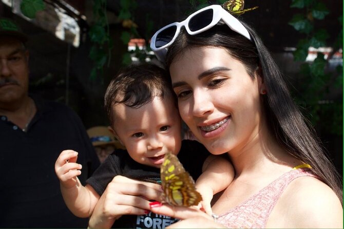 Butterflies, City tour, tequila, and beach (kids free) - Pickup requires careful planning