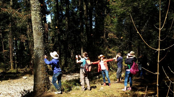 Butterfly Monarch Tour from Mexico City - A Michoacán lunch after the climb