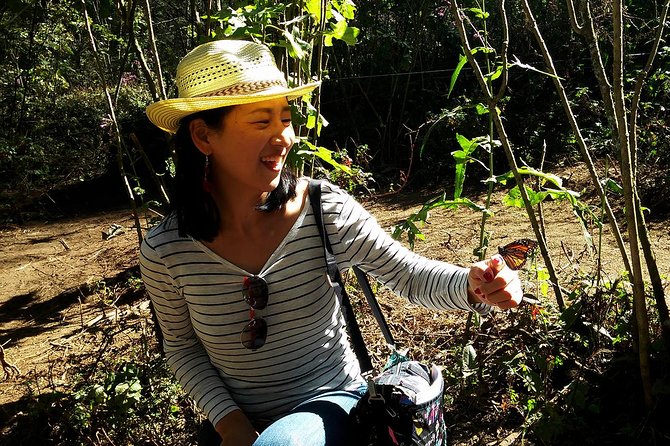 Butterfly Monarch Tour from Mexico City - What you receive for $250