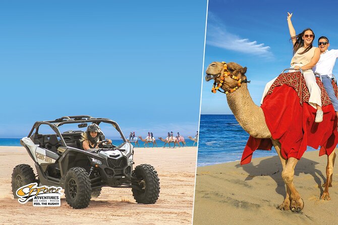 Cabo Adventure: Can-Am X3 Ride & Camel Beach Tour - Two hours, two very different Cabo experiences