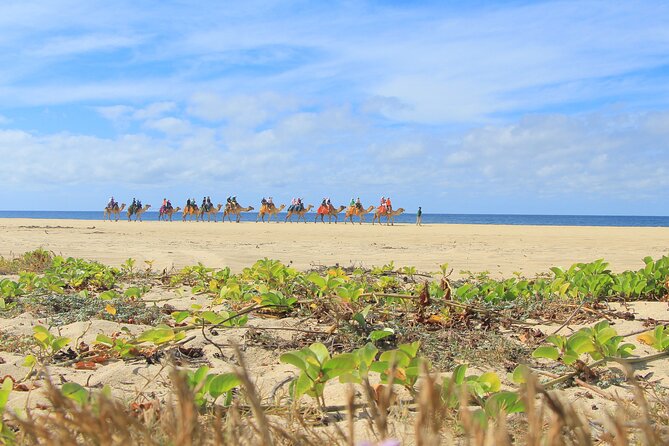 Cabo Adventure: Can-Am X3 Ride & Camel Beach Tour - Safety, clothing, and practical comfort
