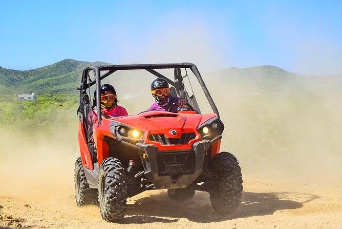 Cabo Adventure: Can-Am X3 Ride & Camel Beach Tour - What the $175 price really covers