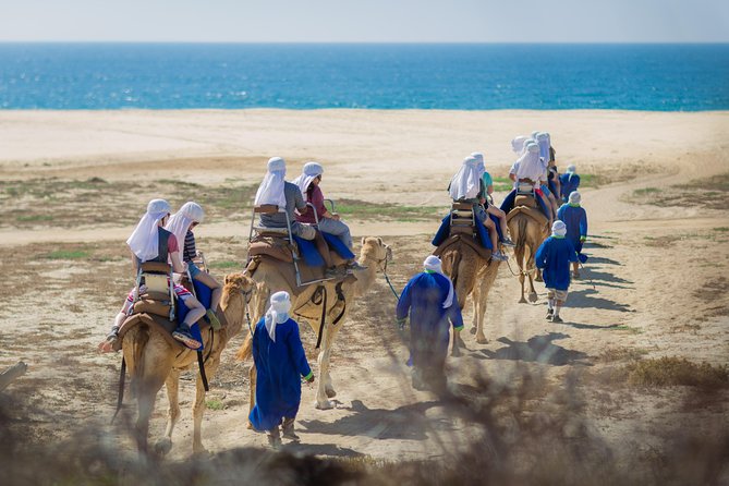 Cabo Beach Camel Ride, Mexican Buffet and Tequila Tasting - The photo stop and its extra cost