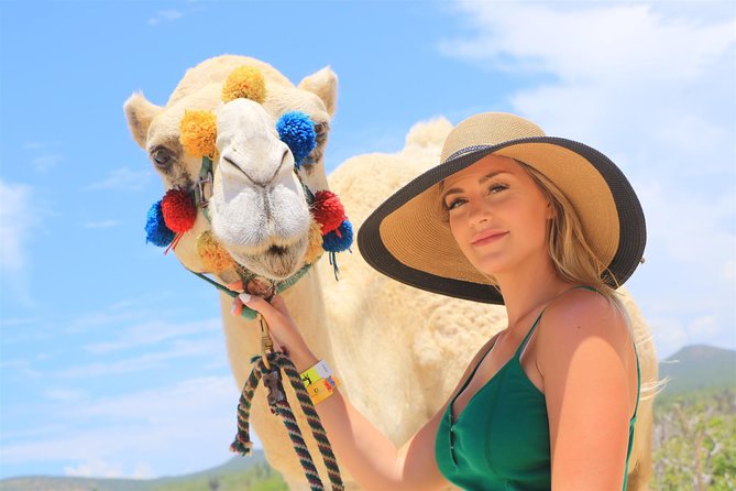 Cabo Beach Camel Ride, Mexican Buffet and Tequila Tasting - The guides make a real difference