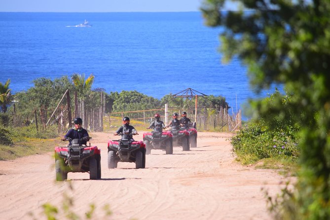 Cabo Candelaria Village Adventure + Tequila Tasting - Key points to know before you book