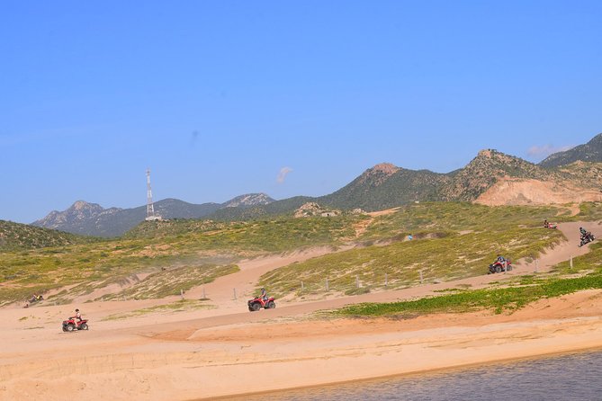 Cabo Candelaria Village Adventure + Tequila Tasting - Desert plants, giant cactus, and guide quality