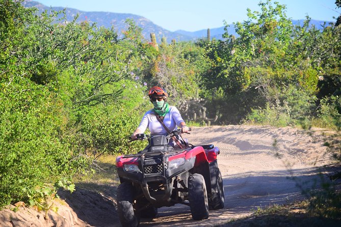 Cabo Candelaria Village Adventure + Tequila Tasting - Who will enjoy this Cabo outing most