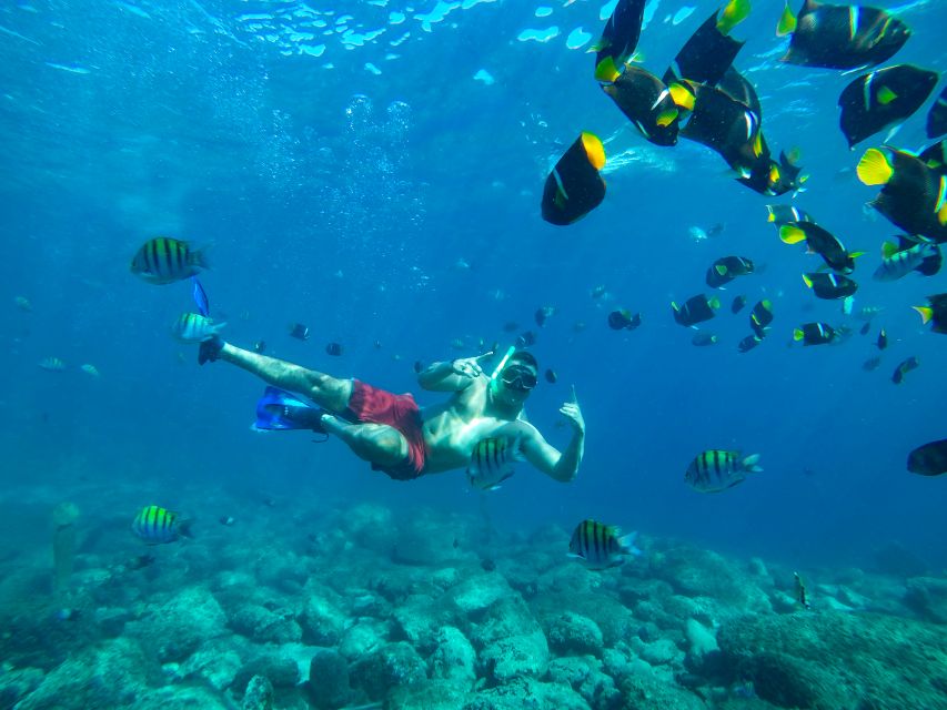 Cabo Catamaran Snorkel: Arch & Santa Maria, Open Bar, Snacks - Open-bar drinks, music, and light food