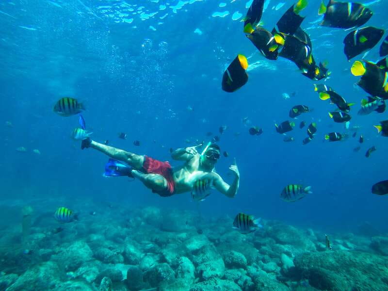 Cabo Catamaran Snorkel: Arch & Santa Maria, Open Bar, Snacks - Is the $75 price good value?