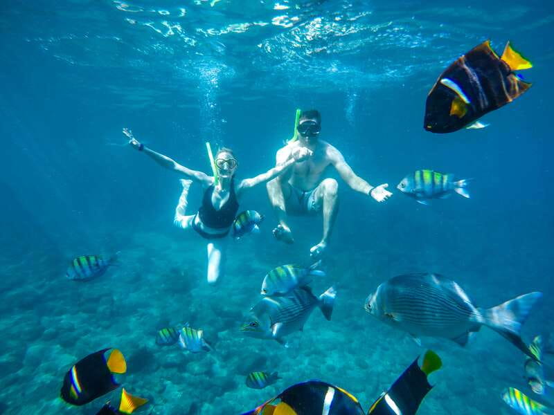 Cabo Catamaran Snorkel: Arch & Santa Maria, Open Bar, Snacks - Meeting the La Princesa Catamaran at D Dock
