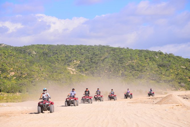 Cabo Desert Off-Road & Beach Horseback Combo and Tequila Tasting - Key points to know before you book