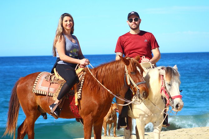 Cabo Desert Off-Road & Beach Horseback Combo and Tequila Tasting - Cabo’s desert, seen from an ATV