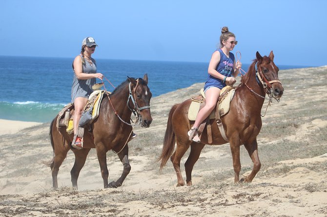 Cabo Desert Off-Road & Beach Horseback Combo and Tequila Tasting - The real cost of this Cabo excursion