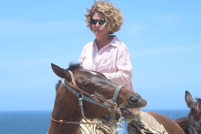 Cabo Desert Off-Road & Beach Horseback Combo and Tequila Tasting - What the day feels like from check-in to finish