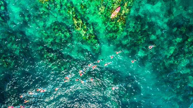 Cabo Escape Breakfast Snorkel Cruise - Practical details that affect your morning