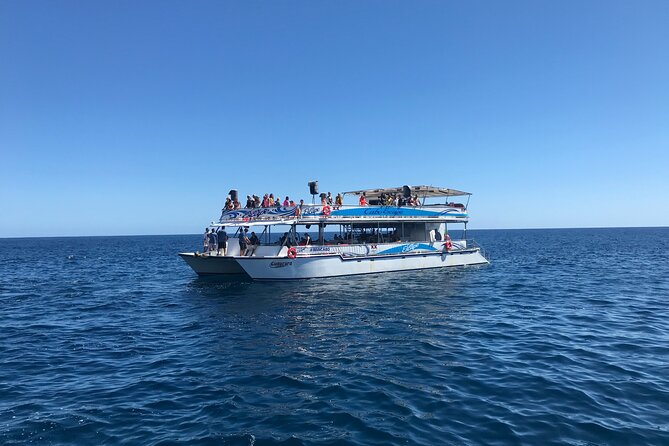 Cabo Escape Snorkel Fun Cruise - Seating, shade, and boarding strategy
