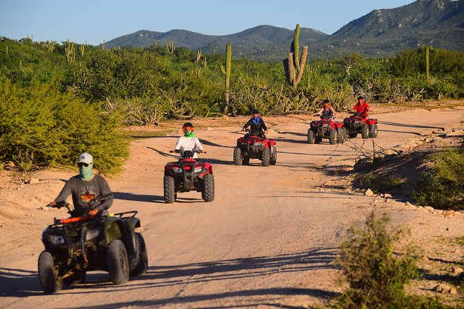 Cabo Migrino Beach and Desert ATV Tour plus Tequila Tasting - Which ride option fits your group