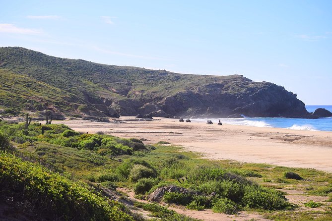 Cabo Migrino Beach & Desert Tour (Quad UTV) - A true Baja ride, not just a quick vehicle loop